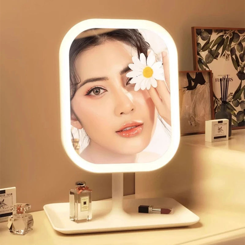 Niche Luxe LED Vanity Mirror — 3-Tone Glam Light Touch Mirror for Premium Makeup Perfection